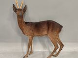 un faux cerf posé sur une surface blanche