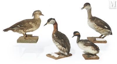 four ducks are standing on wooden blocks on a white surface
