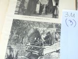 photos de personnes dans une calèche