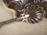 a silver spoon with a flower on top of it