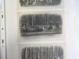 three black and white photographs of a group of people in a forest