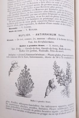 VILMORIN-ANDRIEUX Les fleurs de pleine terre comprenant la d…