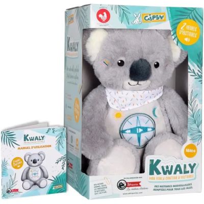 un koala en peluche dans une boîte, avec un bandana autour du cou