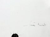 a drawing of a cactus on the wall of a bathroom