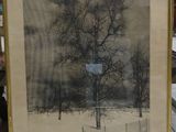 framed photograph of a tree in a snow covered field with a fence