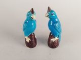 two blue birds sitting on top of a tree stump