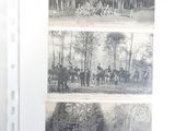 four pictures of a group of people in a park
