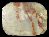 a close up of a piece of marble on a black background