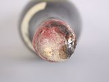 a close up of a wine bottle with a rusted cap