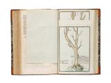 un livre ouvert sur lequel figurent des dessins représentant un arbre et un oiseau