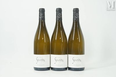 LANGUEDOC LANGUEDOC, Domaine Saint Sylvestre, 2021 - 3 boute…