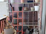 une plante en pot posée sur une étagère, sur un balcon
