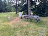 a table and chairs in the grass near a tree