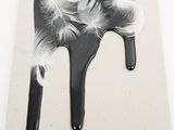 a black and white picture of a hair brush with feathers on it