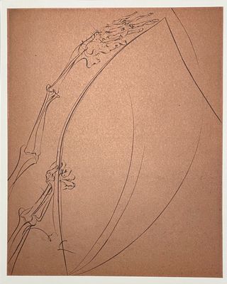 an image of a drawing of a woman ' s head with a flower on it