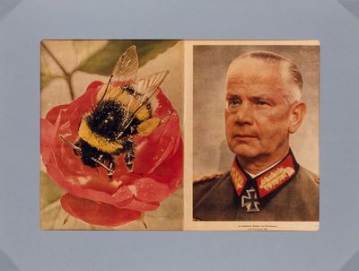 an old picture of a man in uniform and a bee on a flower