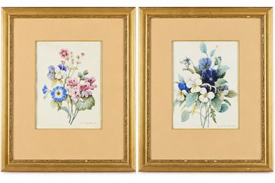 deux tableaux encadrés représentant des fleurs sur fond blanc