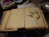 an open book with a plant on it sitting on a table