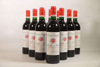 six bouteilles de vin rouge alignées sur une surface blanche