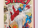 Spider-Man et L'Incroyable Spider-Man, par John Buscecchi