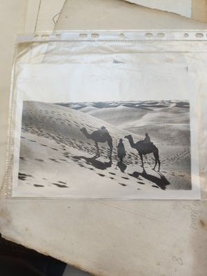 une vieille photo d'un homme chevauchant un chameau dans le désert