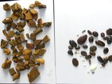 two different types of rocks and stones on the table