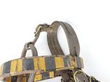 yellow and black striped leather dog harness on white background