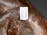 a close up of a statue of a horse with a tag on it ' s neck