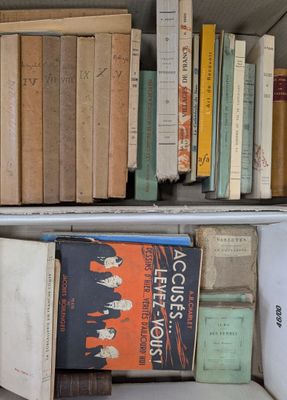 a lot of books on the shelves in the room