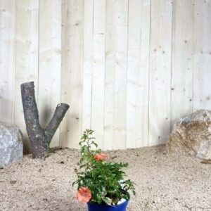 Destockage & Invendus