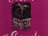 a pink book cover with a picture of a man on a horse