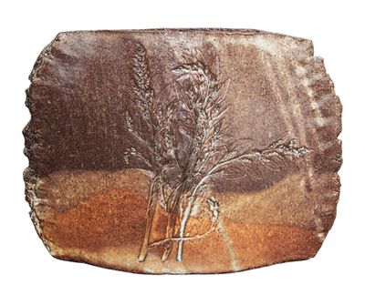 a stone with a plant on it on a white background