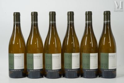 six bouteilles de vin sont alignées sur une surface blanche