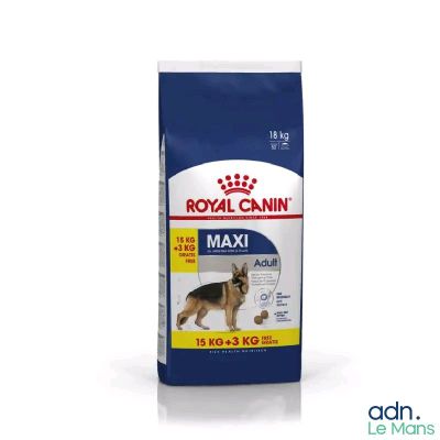 Royal Canin Maxi Adult : croquettes pour chiens adultes