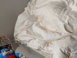 a stuffed animal on a bed next to a pillow