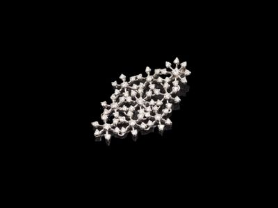 une image représentant une photo en noir et blanc d'un bouquet de minuscules fleurs blanches