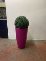 Ensemble de plantes artificielles de décoration comprenant :… (photo 6)