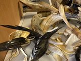 many different types of feathers on the counter