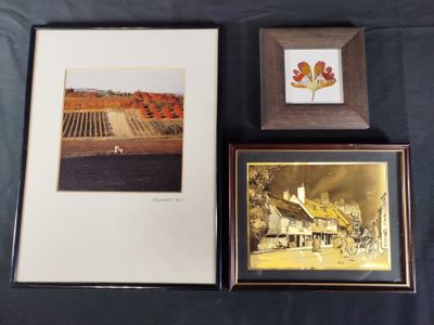 Deux photos encadrées, l'une représentant une ferme et l'autre une fleur, sont posées sur une table.