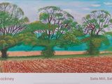 une image représentant un tableau montrant trois arbres dans un champ