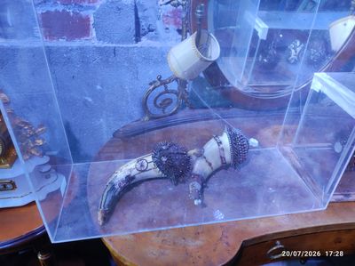 une vitrine contenant un animal empaillé