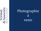 Photo 1/1 du lot