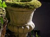a moss covered planter sitting next to a tree stump