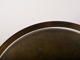 a bird that is sitting on top of a globe