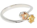 Photo 1/1 du lot