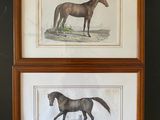 two framed prints of a horse and a foal in a wood frame