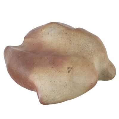 une sculpture en pierre représentant un poisson sur fond blanc