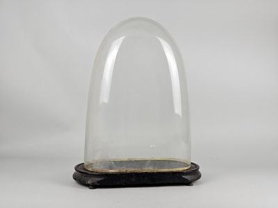 a clear glass dome with a wooden base on a white background