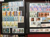 a lot of stamps on display in a black case