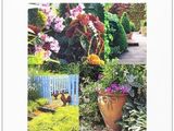the front cover of a magazine with pictures of flowers and plants